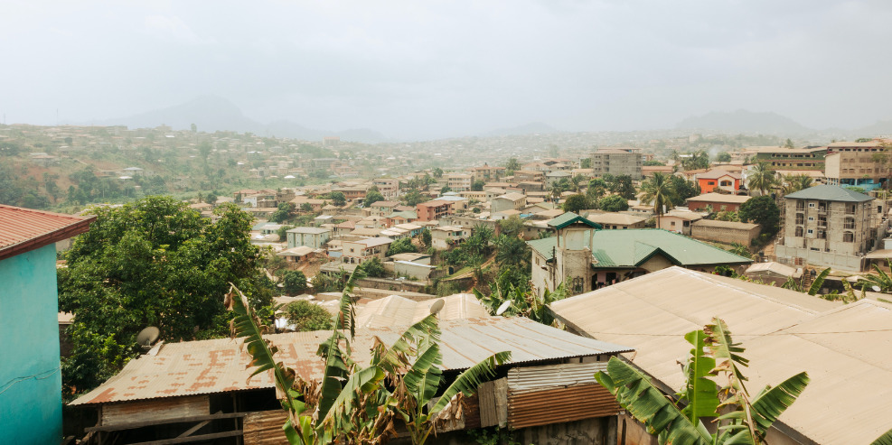 News regarding goods imported into Cameroon